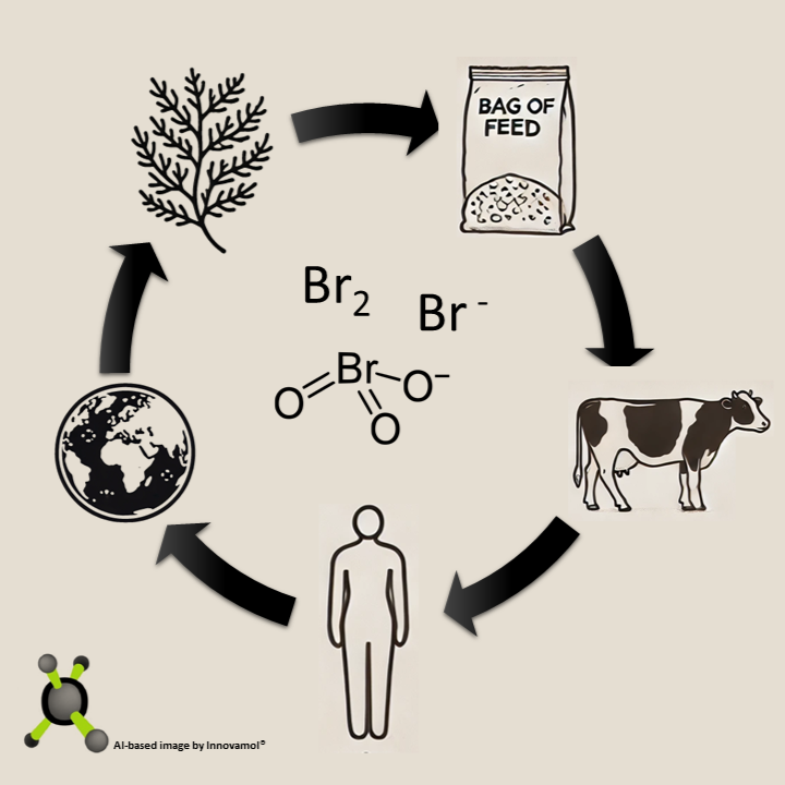 Bromine in Feed: A Closer Look at Hidden Risks